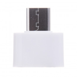 USB to Type C Adapter White